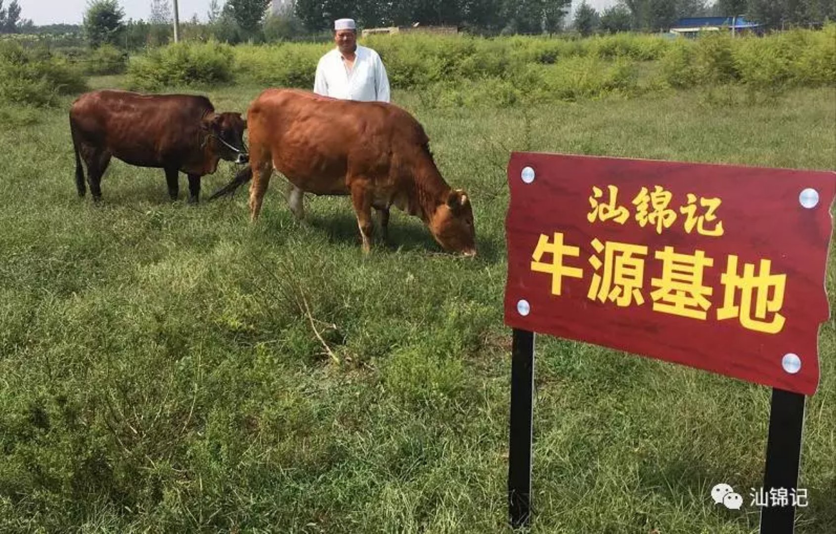 舌尖上的美食 — 现打牛肉丸.jpg